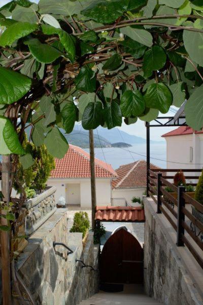 Villa Scandik Ohrid Ngoại thất bức ảnh